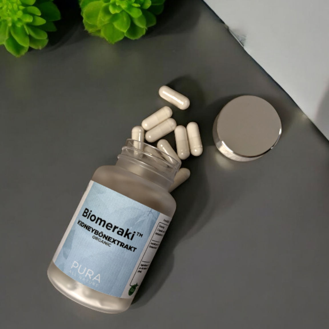 KIDNEYBÖNEXTRAKT