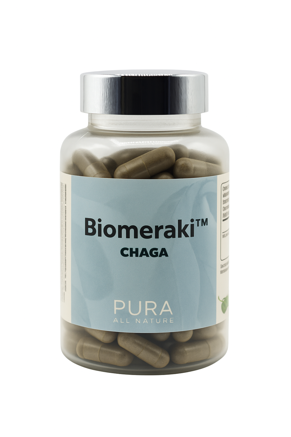 CHAGA