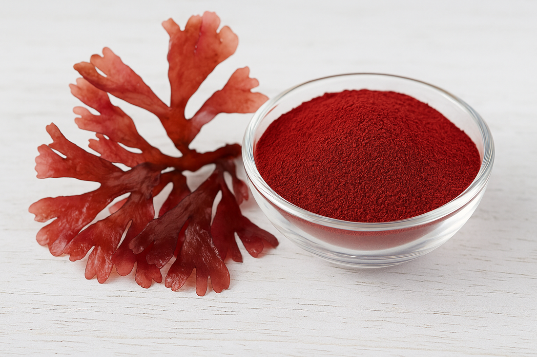 Astaxantin – den kraftfulla antioxidanten för hud och leder