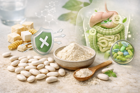 Vitt kidneybönextrakt –minska kolhydratupptag och stöd maghälsan